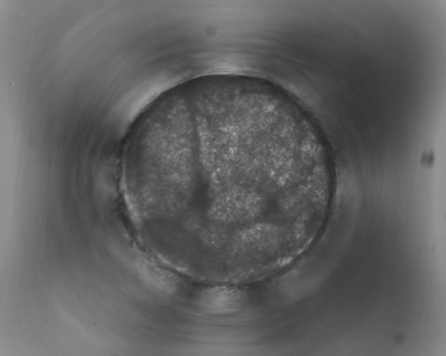 X0000111861314200909031742