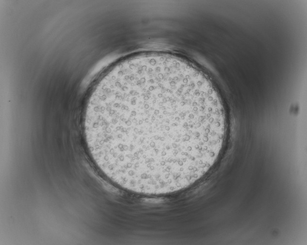 X0000111861315200909031742