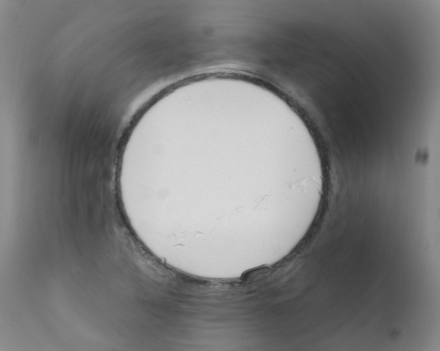 X0000111861316200909031742