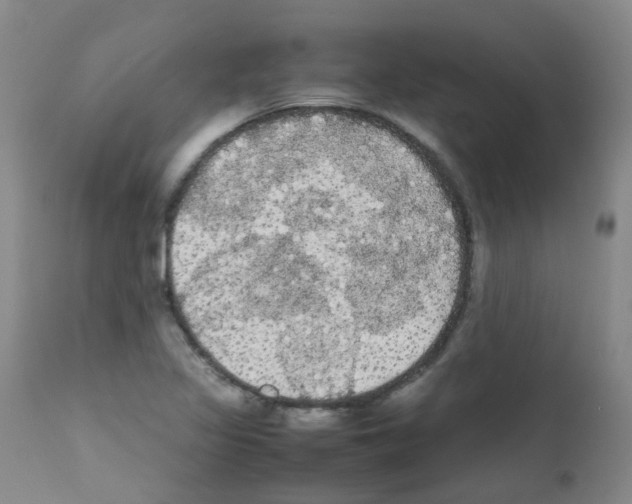 X0000111861317200909031742