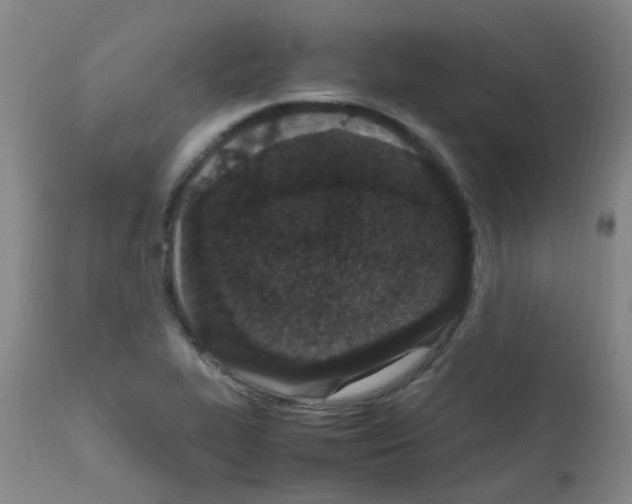X0000111861319200909031742