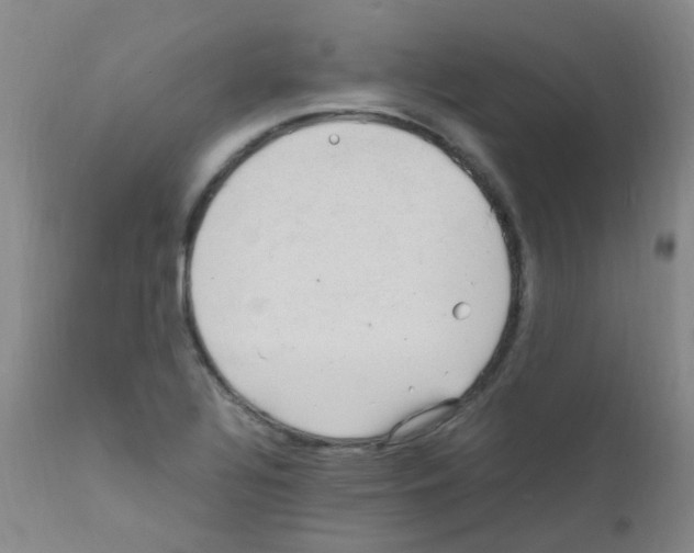 X0000111861320200909031742
