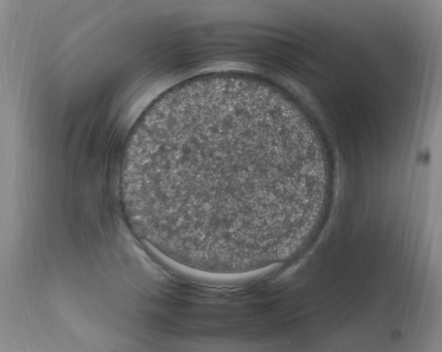 X0000111861321200909031742