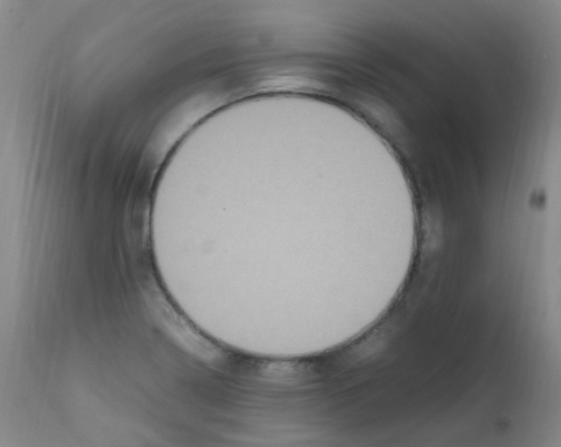 X0000111861322200909031742
