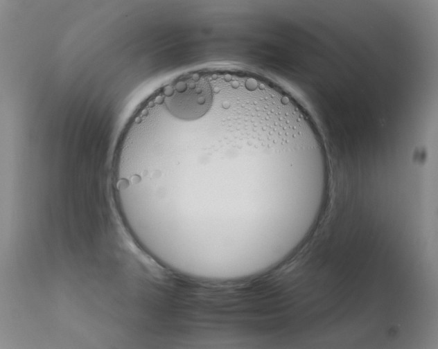 X0000111861327200909031742