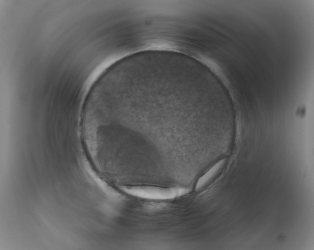 X0000111861331200909031742