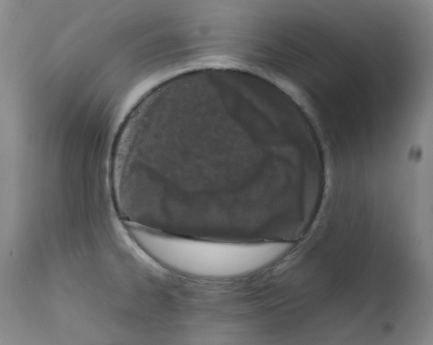 X0000111861334200909031742