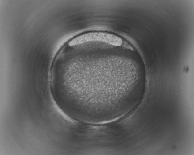 X0000111861335200909031742