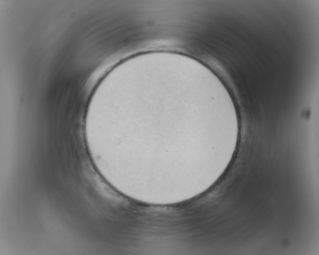 X0000111861336200909031742