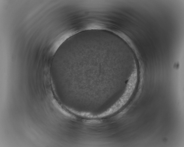 X0000111861337200909031742