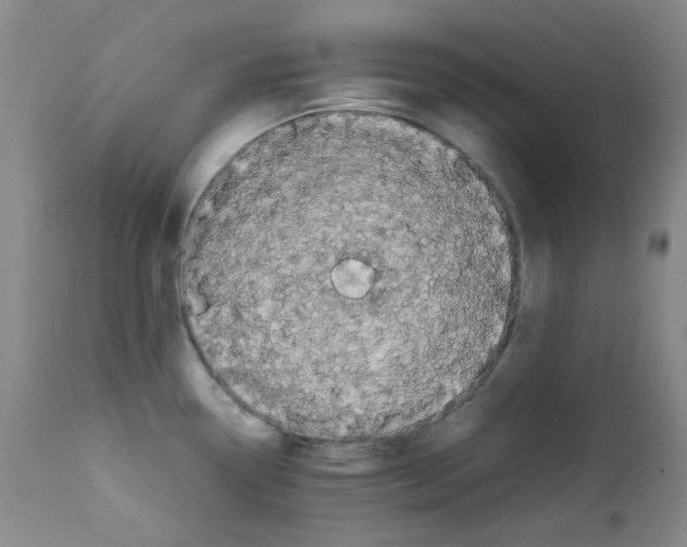 X0000111861338200909031742