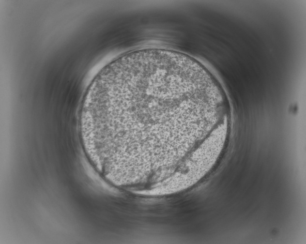 X0000111861341200909031742