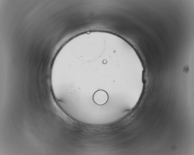 X0000111861342200909031742