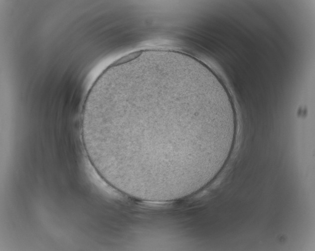 X0000111861344200909031742