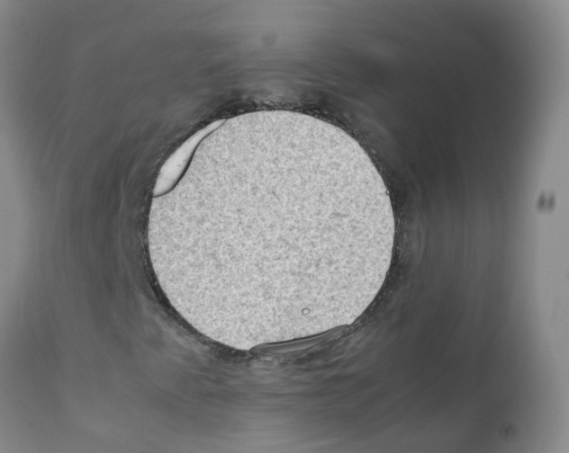 X0000111861345200909031741
