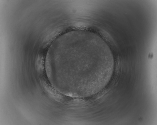 X0000111861346200909031741