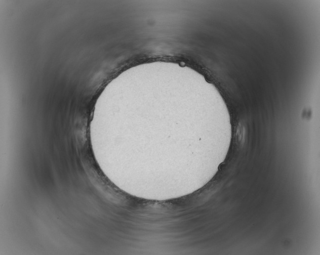 X0000111861348200909031741