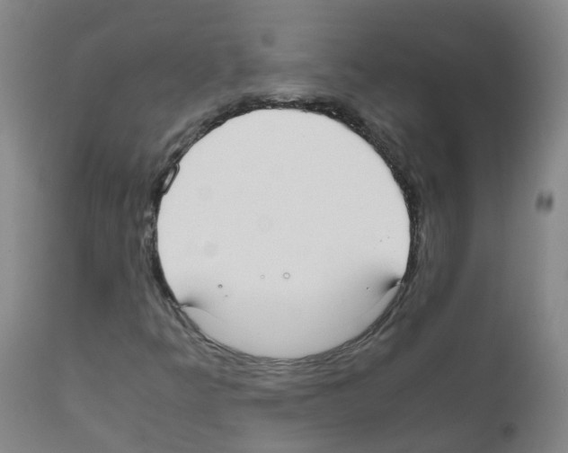 X0000111861349200909031741