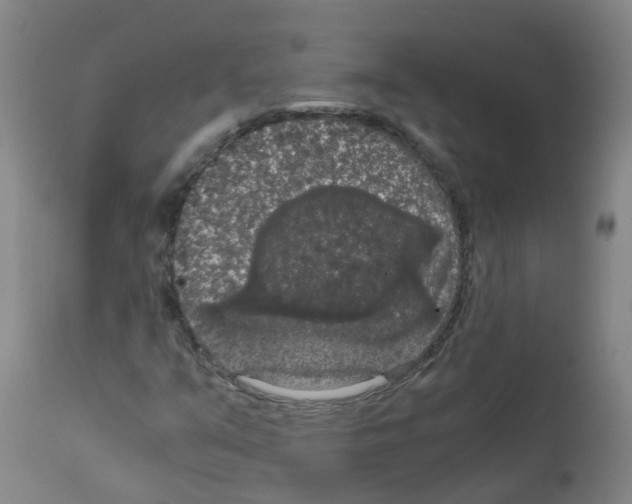 X0000111861351200909031741