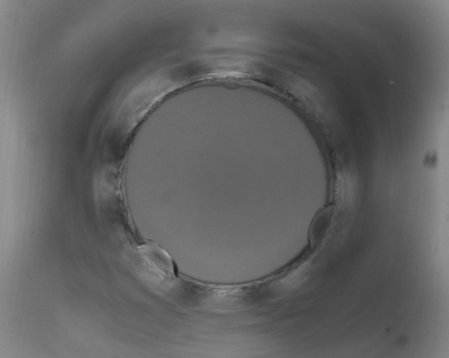 X0000111861353200909031741