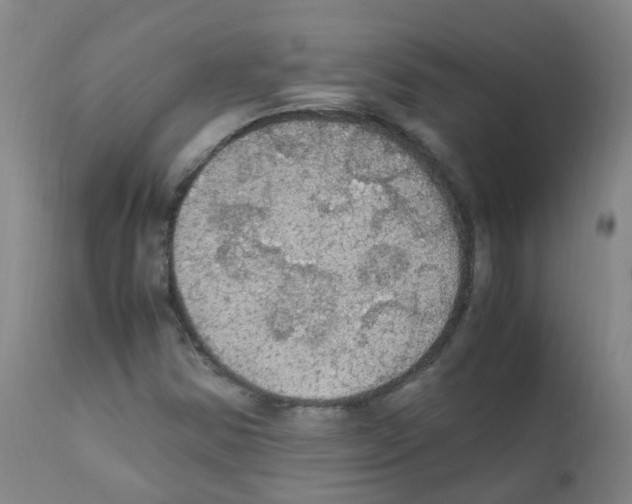 X0000111861354200909031741