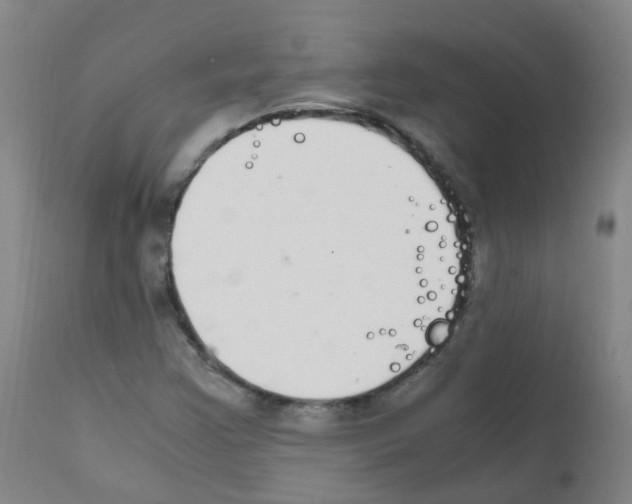 X0000111861355200909031741