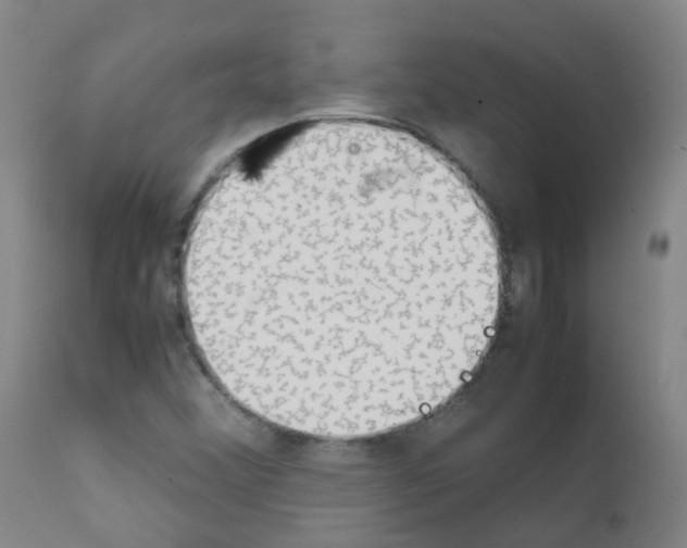 X0000111861356200909031741