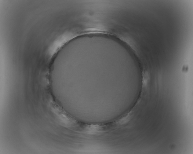 X0000111861357200909031741