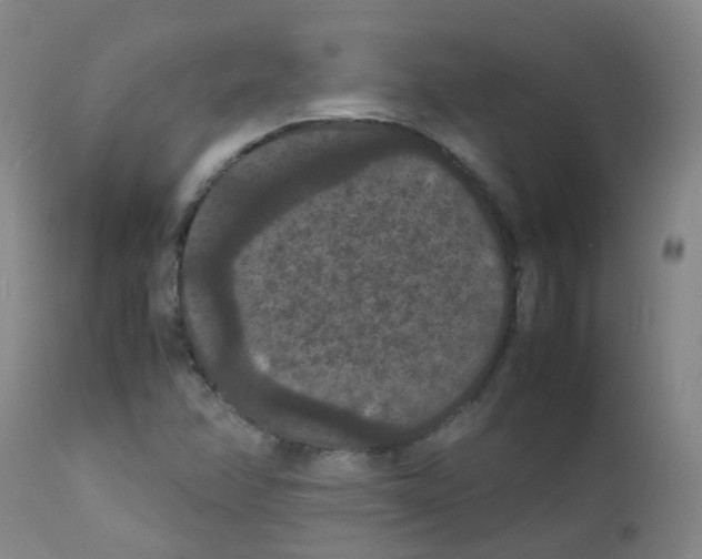 X0000111861358200909031741