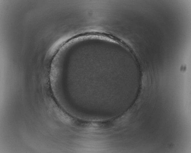 X0000111861359200909031741