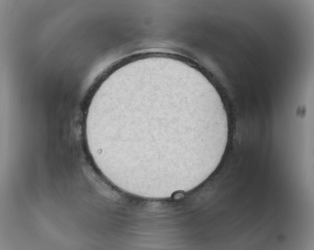 X0000111861360200909031741