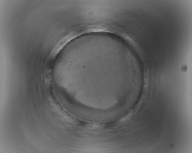 X0000111861361200909031741