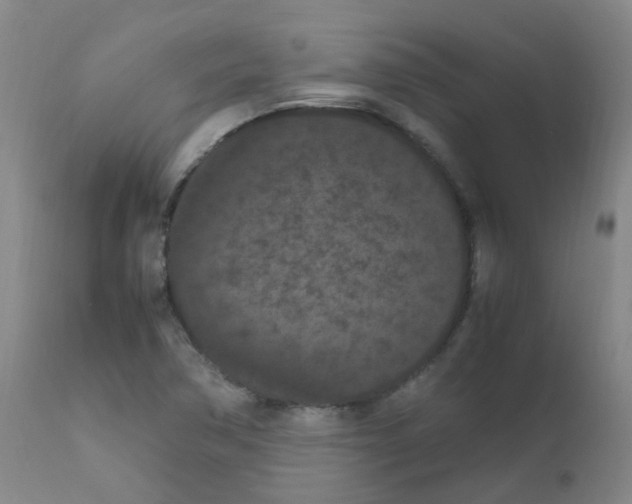 X0000111861362200909031741