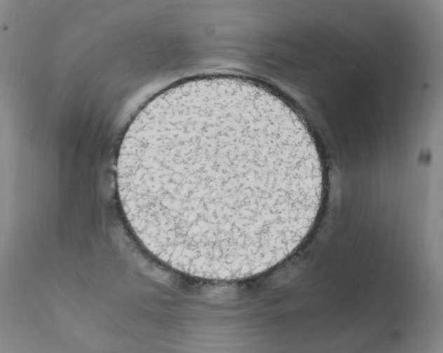 X0000111861363200909031741