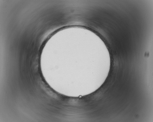 X0000111861364200909031741