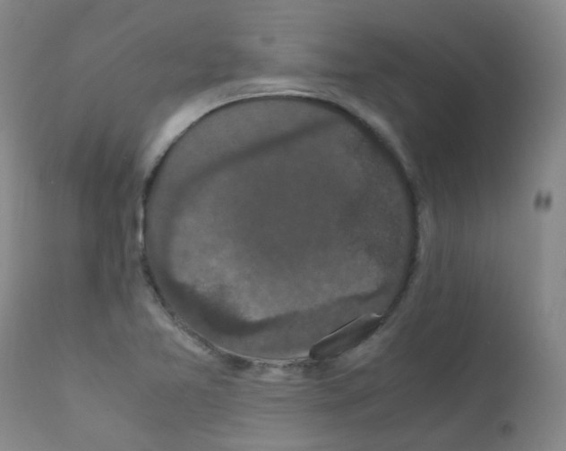 X0000111861365200909031741