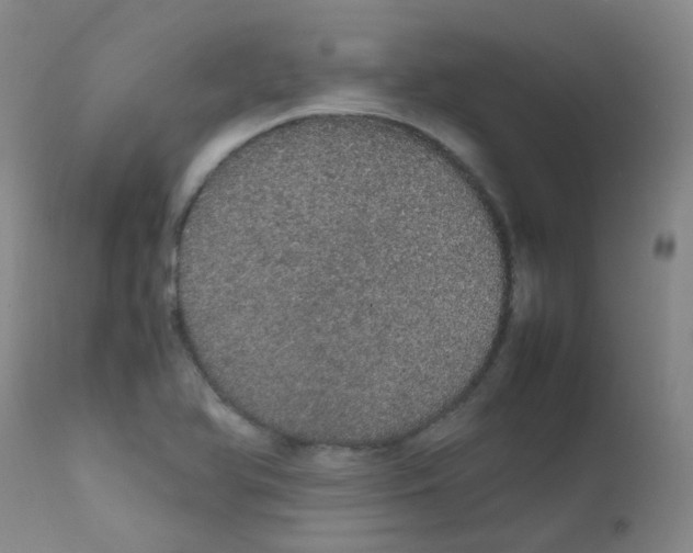 X0000111861366200909031741