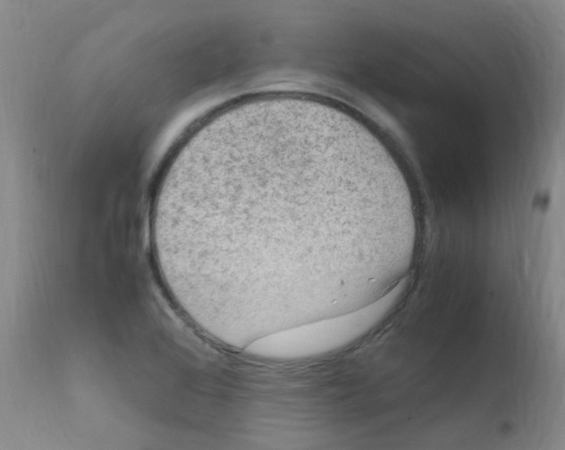 X0000111861368200909031741