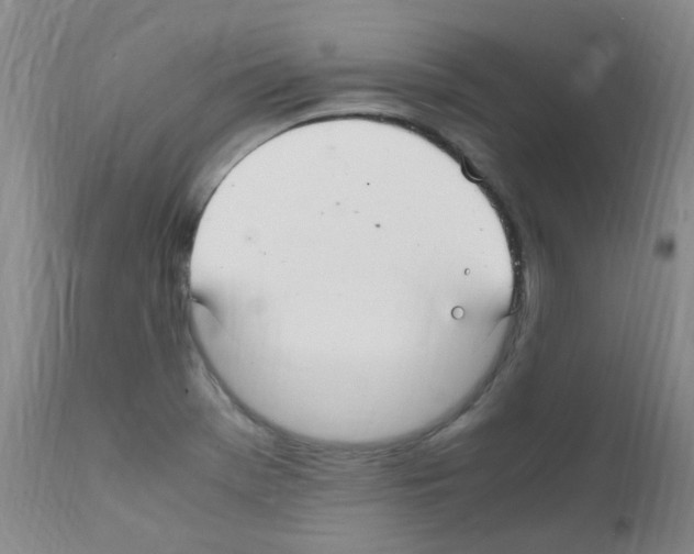 X0000111861369200909031741