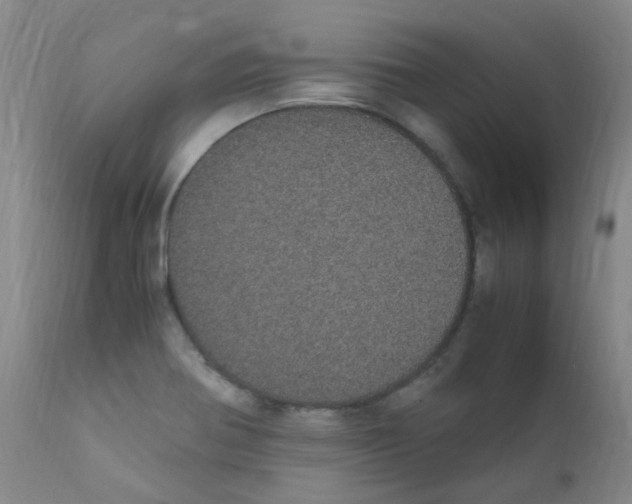 X0000111861370200909031741