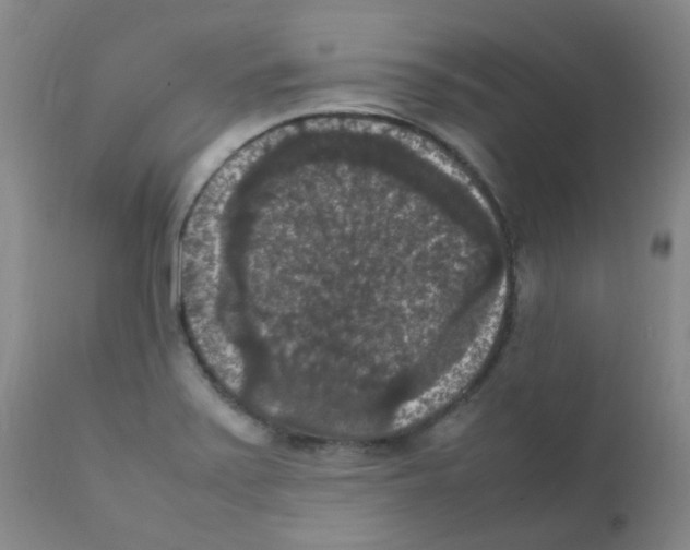 X0000111861371200909031741
