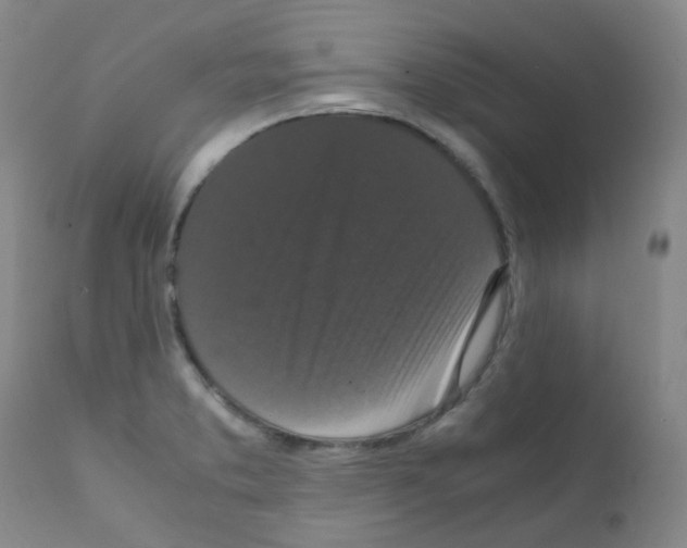 X0000111861373200909031741