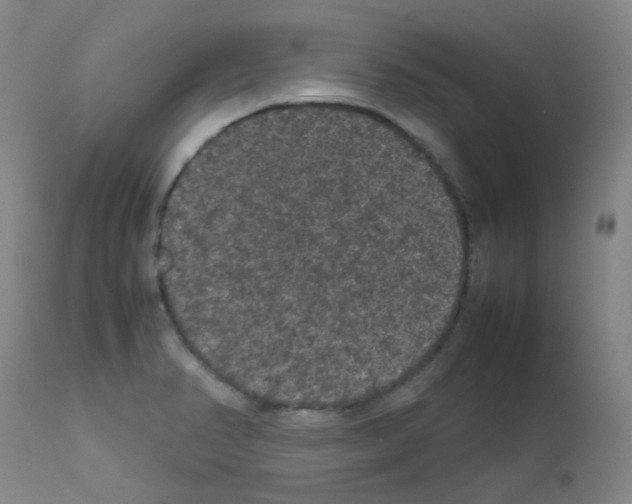X0000111861374200909031741