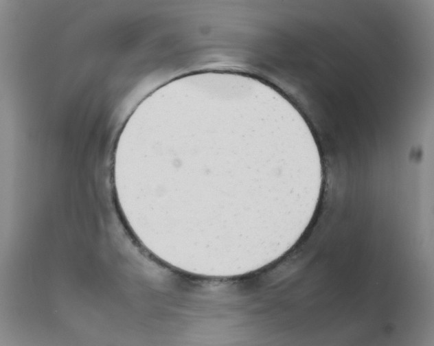 X0000111861375200909031741