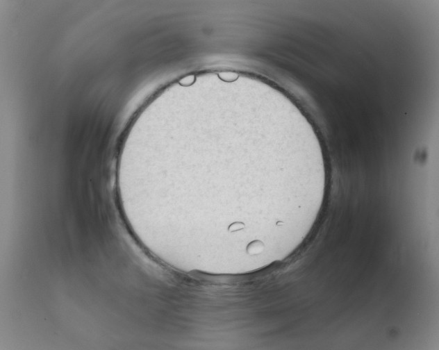 X0000111861376200909031741