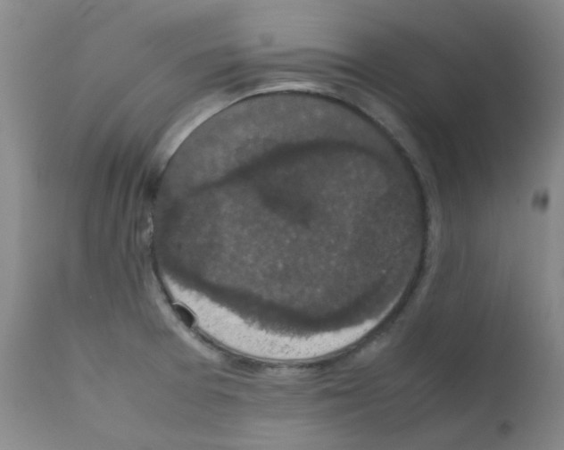 X0000111861377200909031741