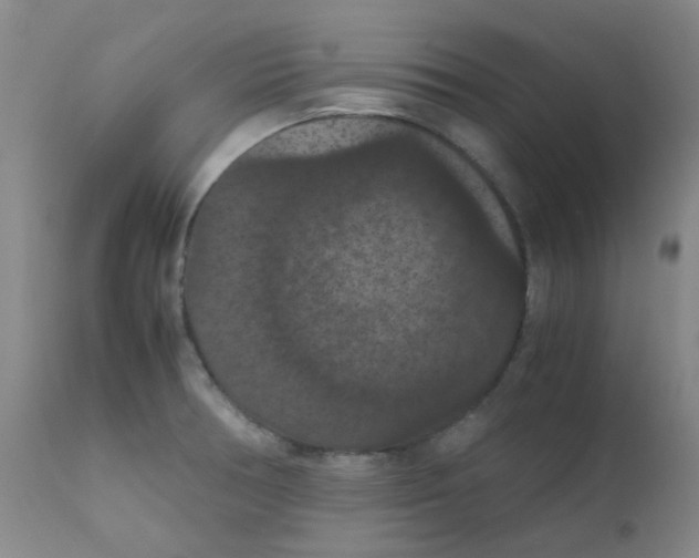 X0000111861378200909031741