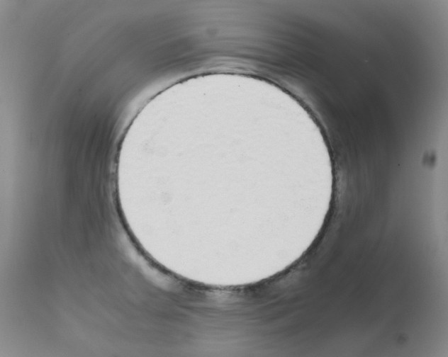 X0000111861379200909031741