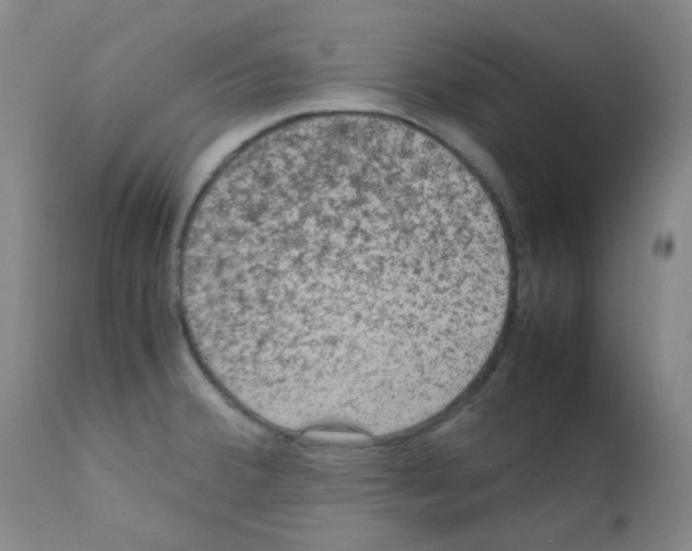 X0000111861380200909031741