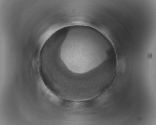 X0000111861381200909031740